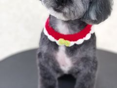 -乐琪宠物(青塔西路店)