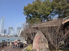 -金鸡湖桃花岛