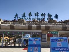 -大连森林动物园