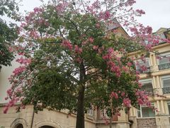 -中旅阿那亚九龙湖·公主酒店