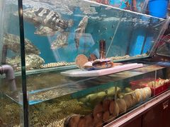 -鲜入围煮花胶鸡海鲜火锅