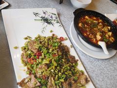 -陈麻婆豆腐总店
