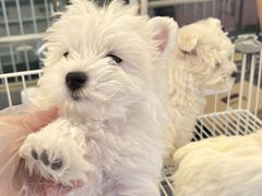 -济南高新万达广场