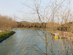 -广富林郊野公园