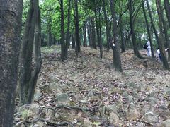 -火炉山森林公园