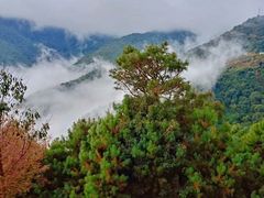 -无量山自然风景保护区