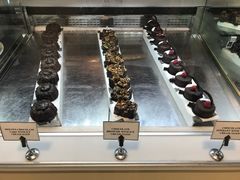 -迪拜水族馆及水下动物园