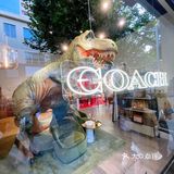 如此有情怀又有颜值的快闪店｜COACH
