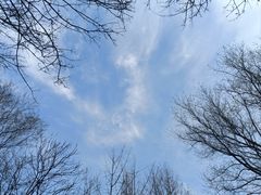 -幕燕滨江·燕子矶公园