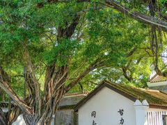 -长洲岛