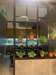 -时尚殿堂明星门店