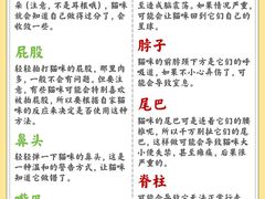 -守诺宠物医院·眼科· 特色牙科·异宠专科(虹口店)
