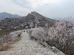 -龙泉峪长城