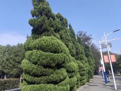 -安徽大学(龙河校区)