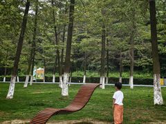 -宜兴龙背山森林公园