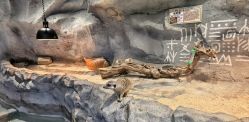 -Zoolung Zoolung动物主题公园(海信广场店)