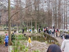 -重庆彩云湖湿地公园