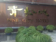 -上海青松城大酒店