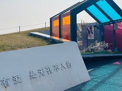 -荷兰花海