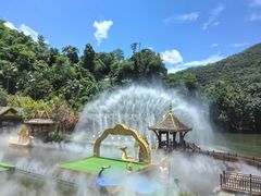 -西双版纳原始森林公园