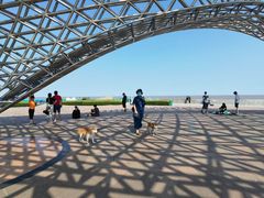 -南汇嘴观海公园