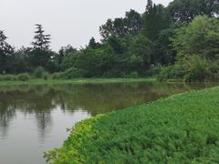 -桤木河湿地公园