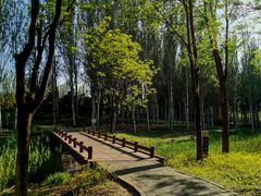-东郊湿地公园