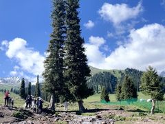 -新疆那拉提国家旅游度假区