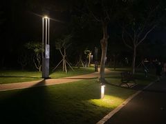 -野狸岛