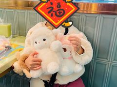 -PAWTOY爪e玩偶店(天兴罗斯福店)