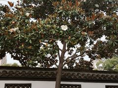 -春兰国宾馆(凤城河风景区老街店)