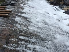 -石台牯牛降景区