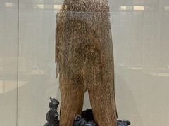 -中国沉香文化博物馆