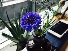 -半山腰·云南菜(侨福芳草地店)