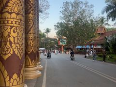 -西双版纳傣族园