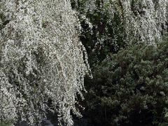 -中国茶叶博物馆(双峰馆区)