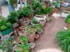 -秀水家园农家院住宿团建(石林峡店)