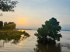 -黄河花园口旅游区
