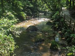 -莫里热带雨林景区