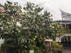 -显应宫(长乐区)