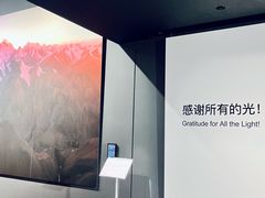 -罗红摄影艺术馆