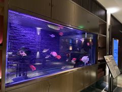 -手佳·水疗汇(嘉益店)