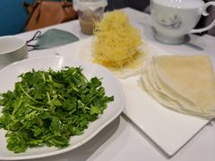 -丁老爷子苏香圆