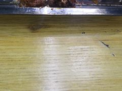 -二小酸辣鸡丝面