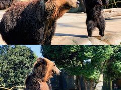 -常州淹城野生动物世界