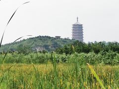 -永定河休闲森林公园