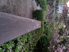 android_upload_pic-向日葵咖啡
