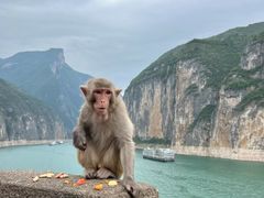 -白帝城·瞿塘峡景区