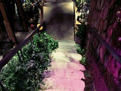 -范设计花园餐酒咖·中西餐·咖啡厅·酒馆
