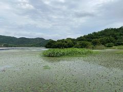-东钱湖小普陀景区